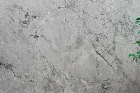 Szara powierzchnia z żyłkami, przypominająca naturalny **dolomit**, z zielonymi liśćmi rośliny po prawej stronie.